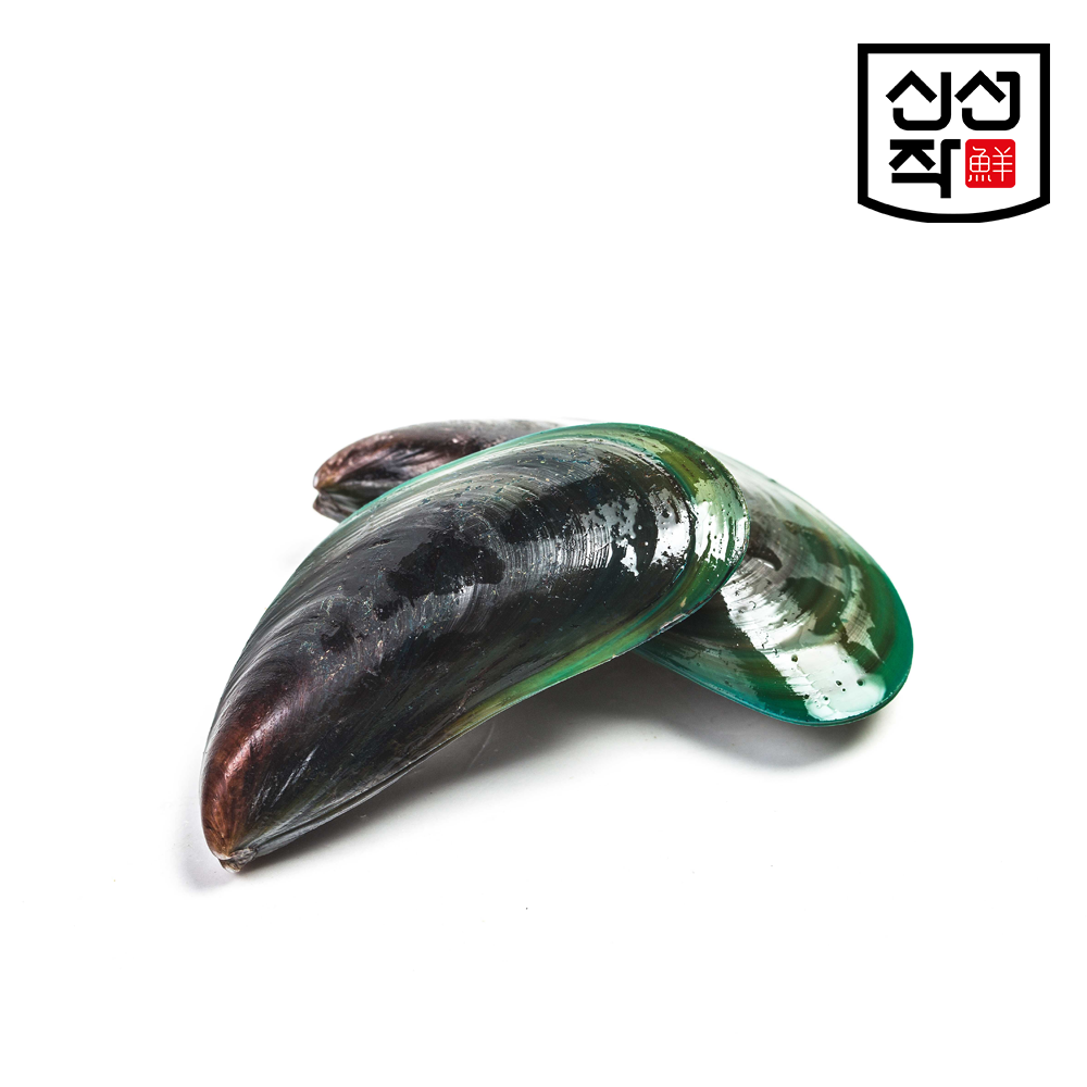[신선작] 그린홍합 M 800g 자숙 반탈각 초록입 뉴질랜드 - 상세 이미지 4