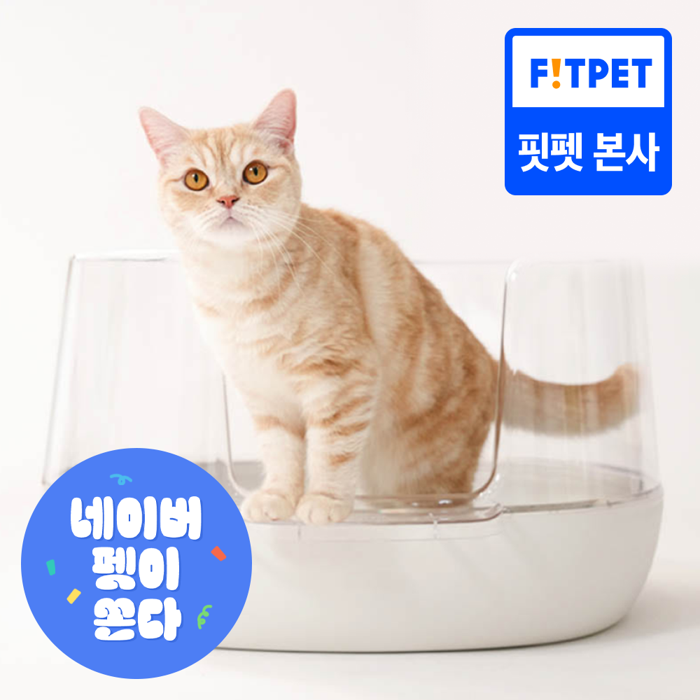 냥쌤 고양이화장실 투명화장실 대형 배변통 사막화방지 제품 이미지