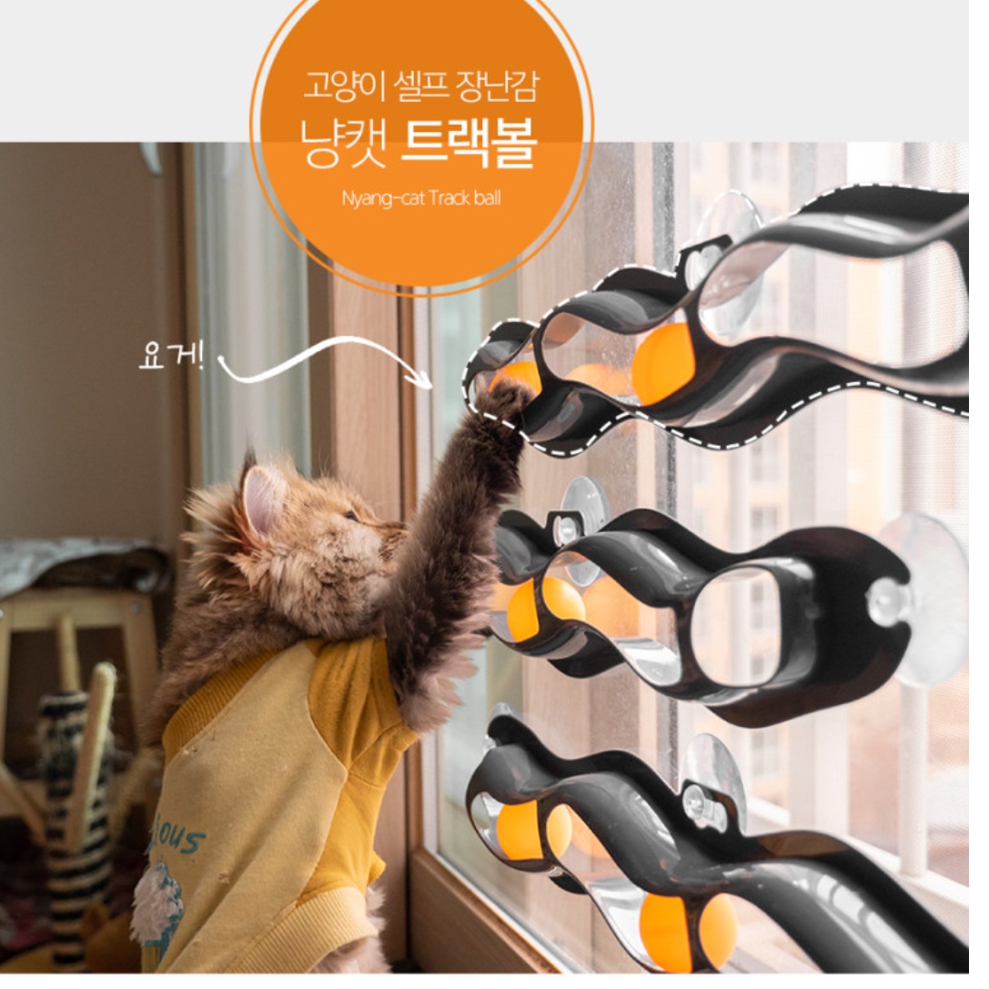 움직이는 고양이 장난감 고양이 놀이방법 셀프 트랙볼 공 놀이기구 혼자놀기 - 상세 이미지 4