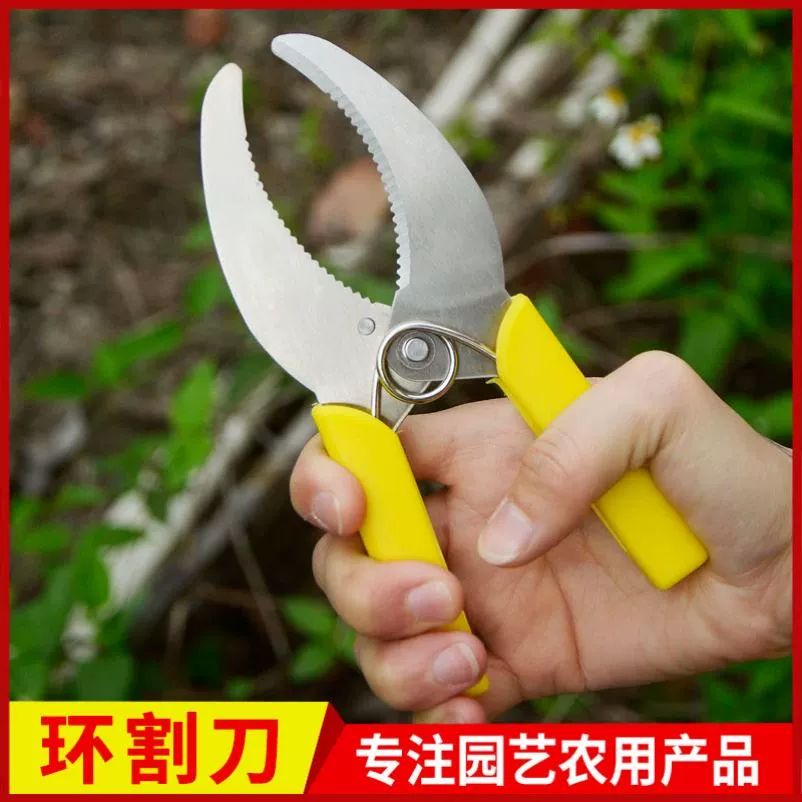 환상 박피기 나무껍질박피기 원예 회전식 나무탈피도구 대형 양면 링 커터 - 상세 이미지 3