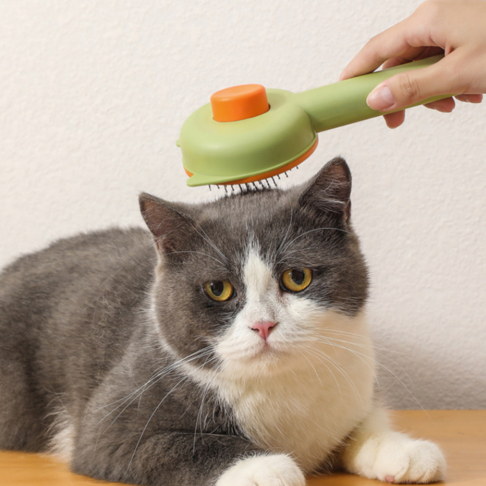 고양이 강아지 엉킨 털 제거 소형견 애견 원터치 펫 관리 안아픈 털갈이 브러쉬 빗 3종류 - 상세 이미지 5