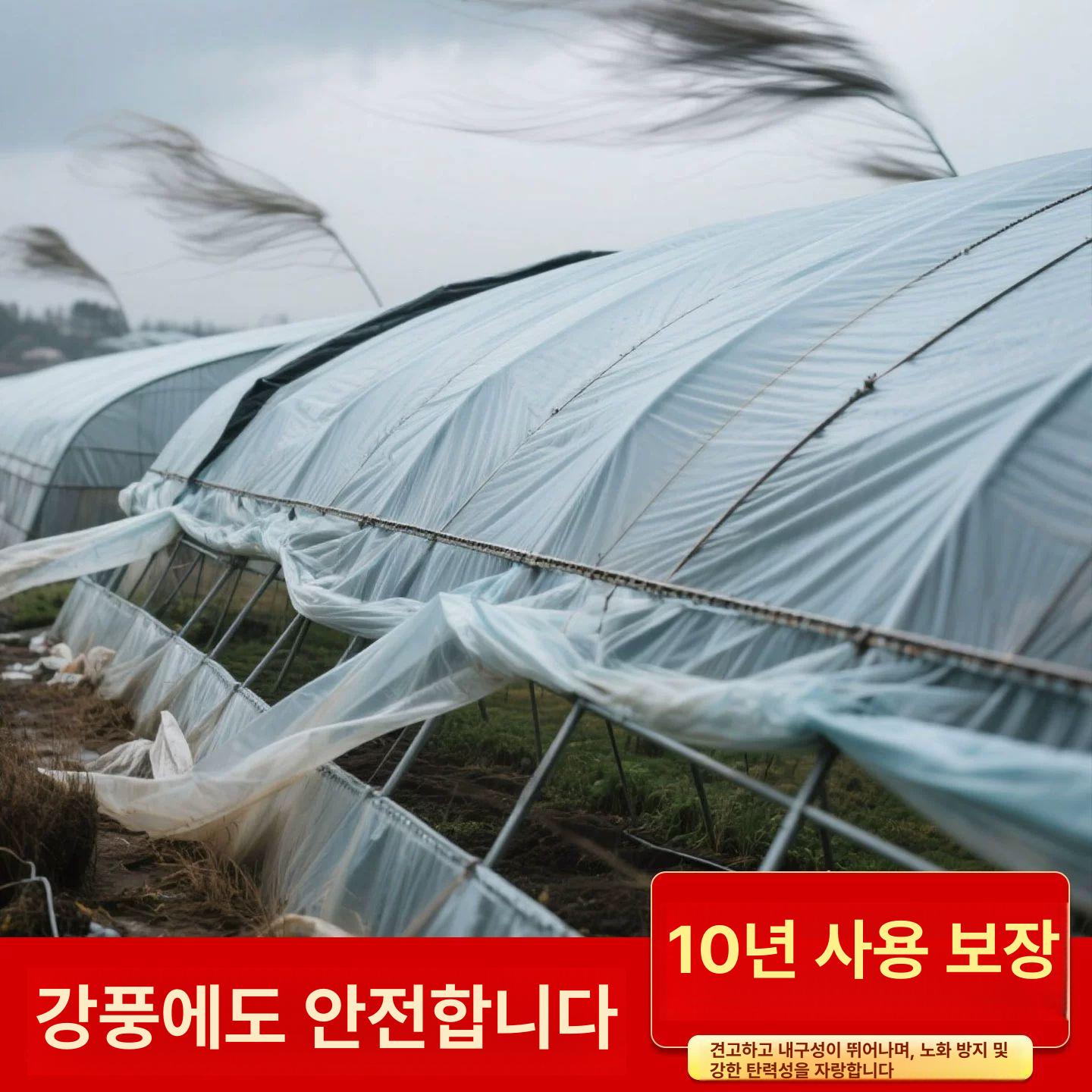 농사용 비닐하우스밴드 폴리 고정끈 부속 고하중 길이 하우스비닐 비닐하우스비닐 A급 500m 1.5cm 0.5두께 - 상세 이미지 3