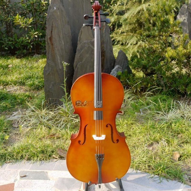 첼로악기 음악학원 레슨 교육 초보자 입문 연습용 화이트 4/4(155cm 이상) - 상세 이미지 3