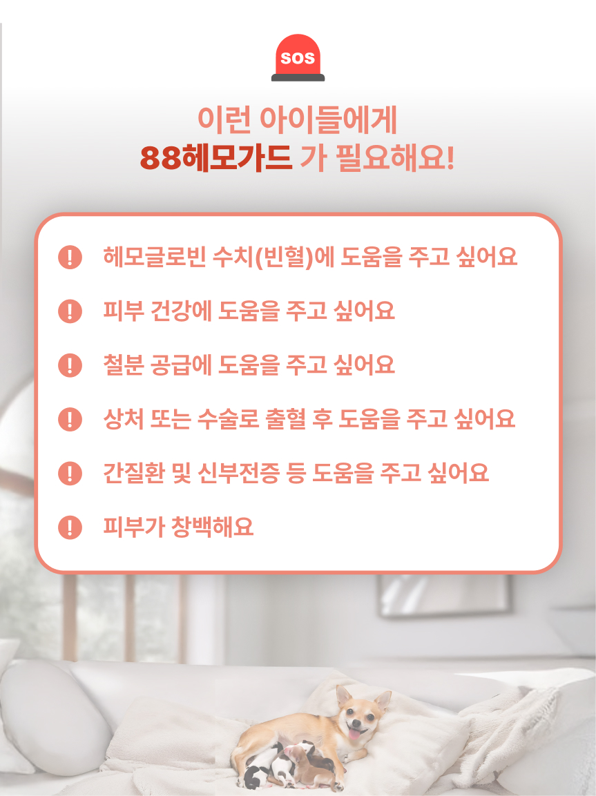 88펫 헤모가드 강아지 고양이 철분제 빈혈 헤모글로빈 수치 임신 출산 60g, 1개 이미지 4