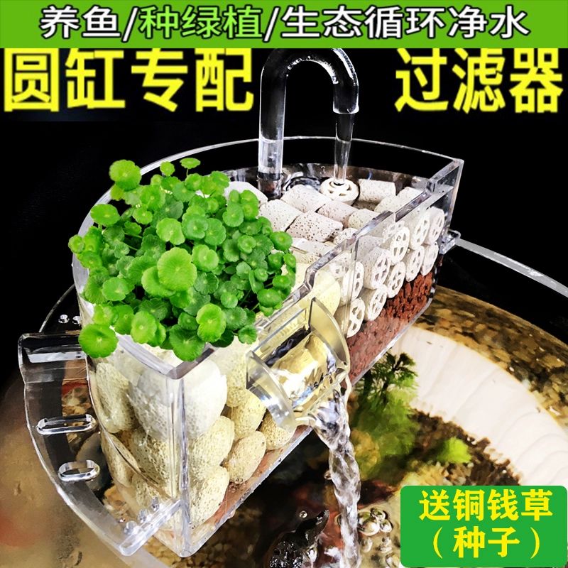 여과기 어항 원형 기포기 둥근 필터 수조 산소발생 2.5W투명펌프소프트호스포함 - 상세 이미지 2