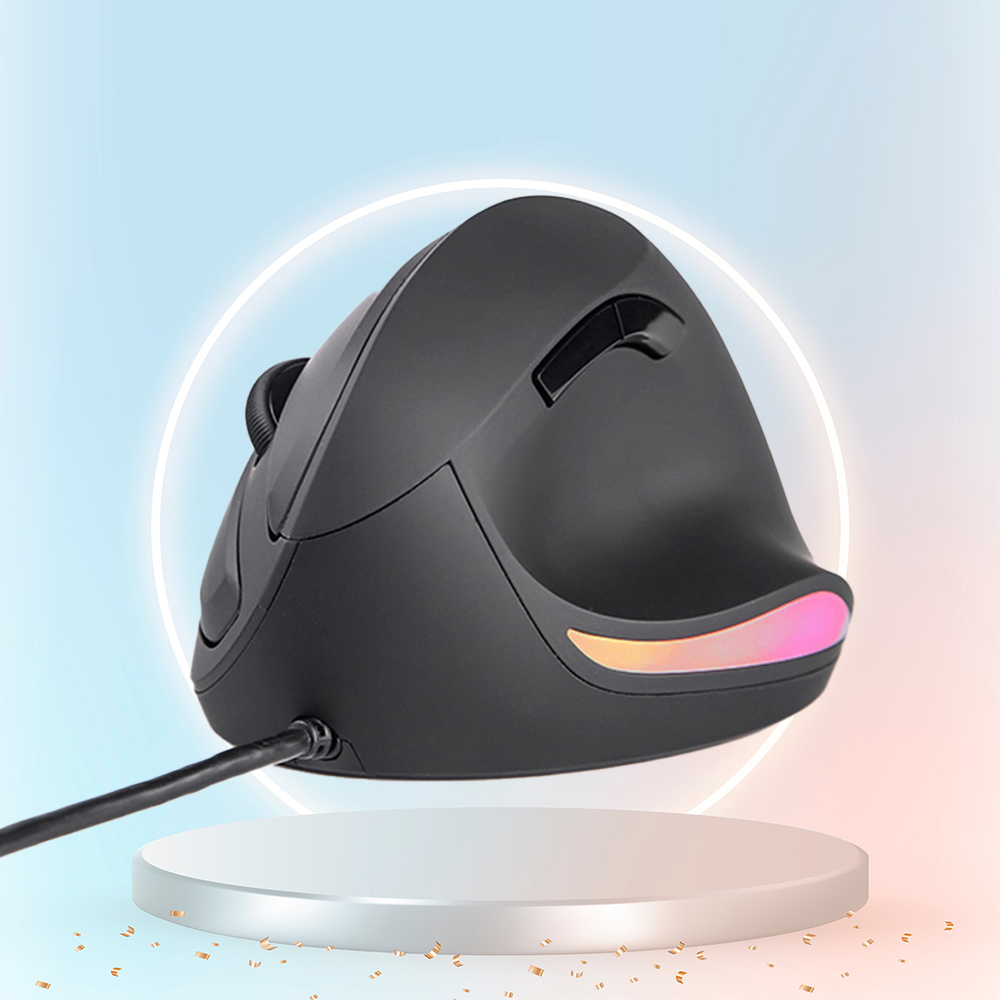 다얼유 LM121 RGB 버티컬 인체공학 마우스 블랙