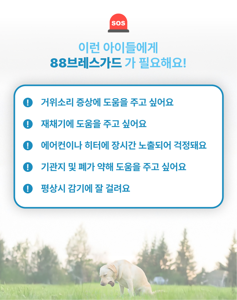 88펫 브레스가드 강아지 고양이 호흡기 기관지 거위소리 켁켁 기침 60g, 1개 이미지 6