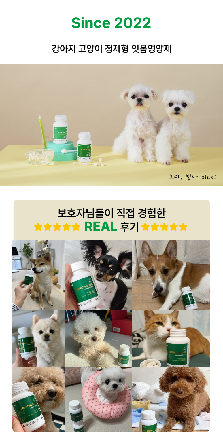 88펫 덴탈가드 츄정  강아지 고양이 잇몸 구강 치석 입냄새 구내염 60정, 1개 - 상세 이미지 4