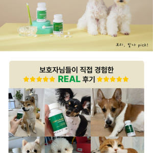 88펫 덴탈가드 츄정 강아지 고양이 잇몸 구강 치석 입냄새 구내염 60정... 솔직 후기 | 실제 사용자 리뷰 총정리 - 상품 이미지 4