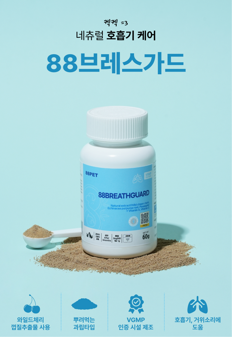 88펫 브레스가드 강아지 고양이 호흡기 기관지 거위소리 켁켁 기침 60g, 1개 - 상세 이미지 2