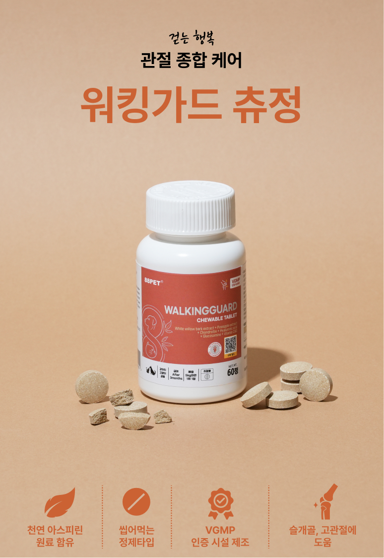 88펫 워킹가드 츄정 강아지 고양이 고관절 슬개골 탈구 수술 진통 소염 60정, 1개 이미지 2