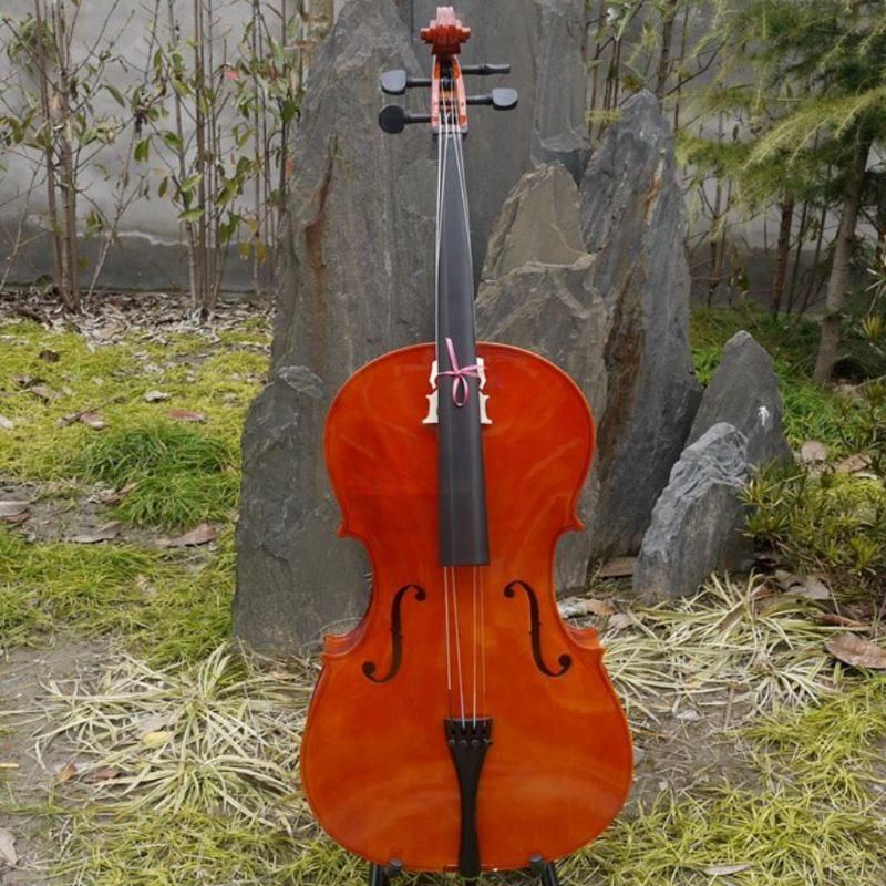 첼로악기 음악학원 레슨 교육 초보자 입문 연습용 화이트 4/4(155cm 이상) - 상세 이미지 2