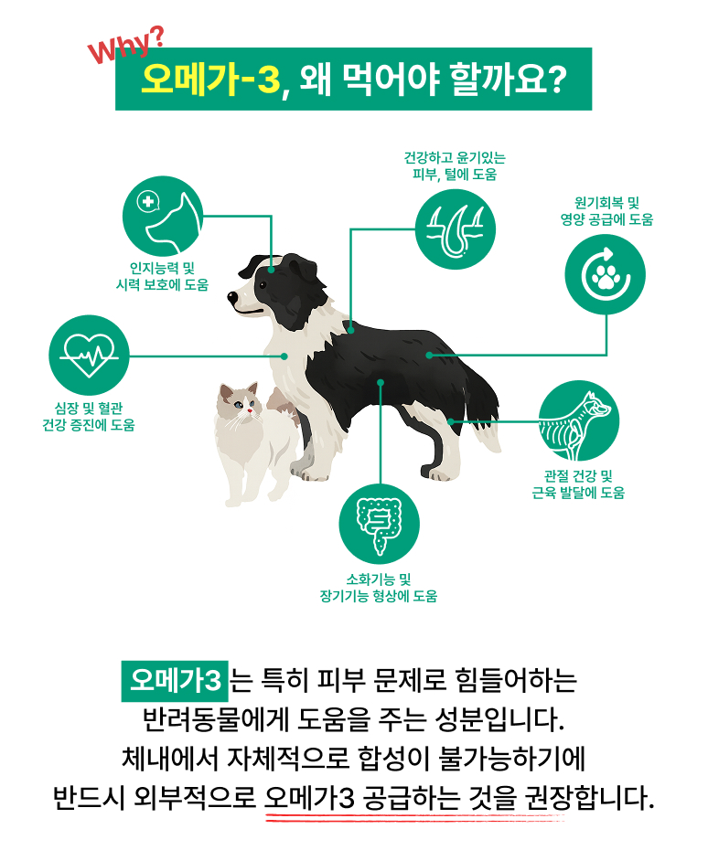 88펫 오메가가드 강아지 고양이 씹어먹는 오메가3 청어 노르웨이 피부 60정, 1개 이미지 3