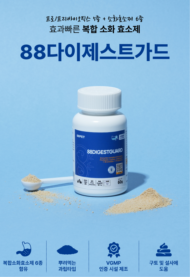 88펫 다이제스트가드 강아지 고양이 유산균 소화 효소제 변비 설사 구토 60g, 1개 - 상세 이미지 2