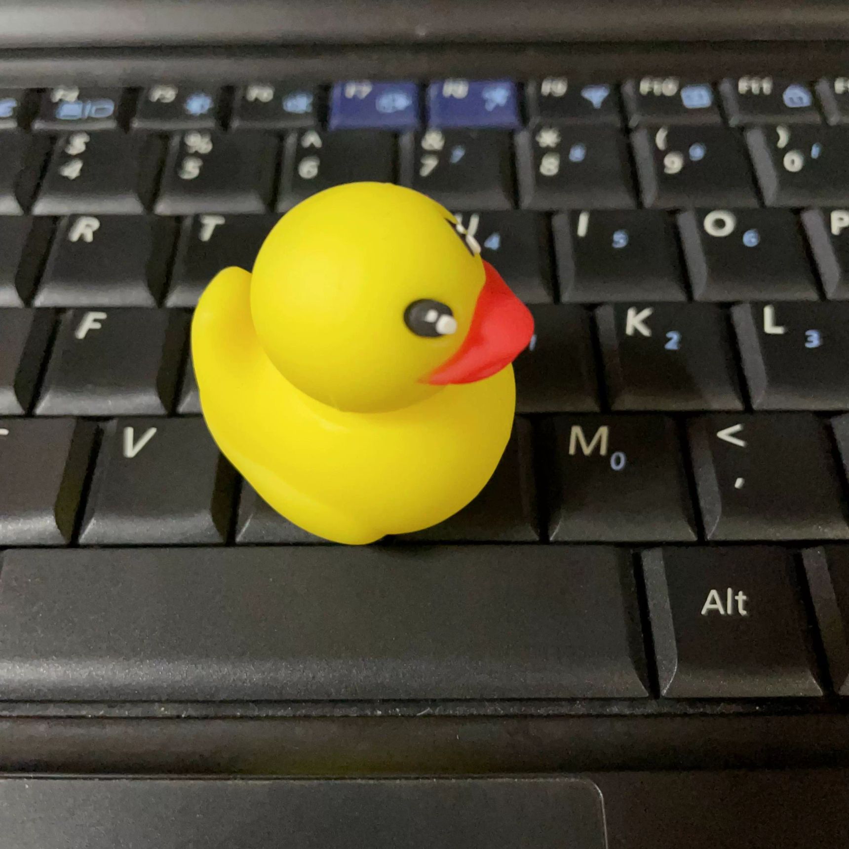 귀여운 오리 USB 16GB 32GB 8GB 4GB 메모리 유에스비 공식 표준 사양 512MB - 상세 이미지 4