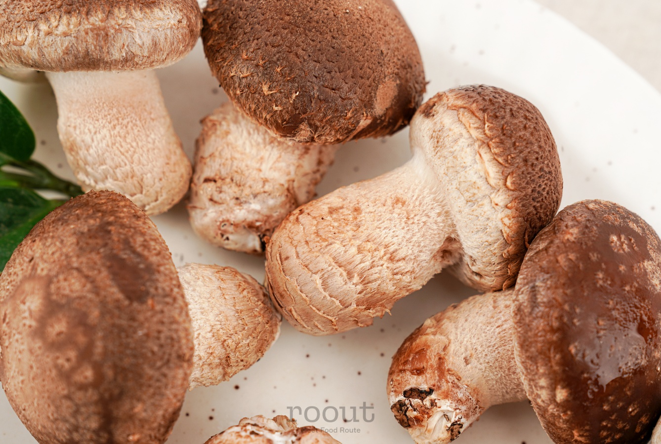 꼼지락농부의무농약송화고버섯(상품1kg) - 상세 이미지 5