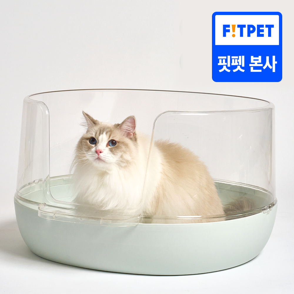 냥쌤 고양이화장실 투명화장실 대형 배변통 사막화방지 : 핏펫