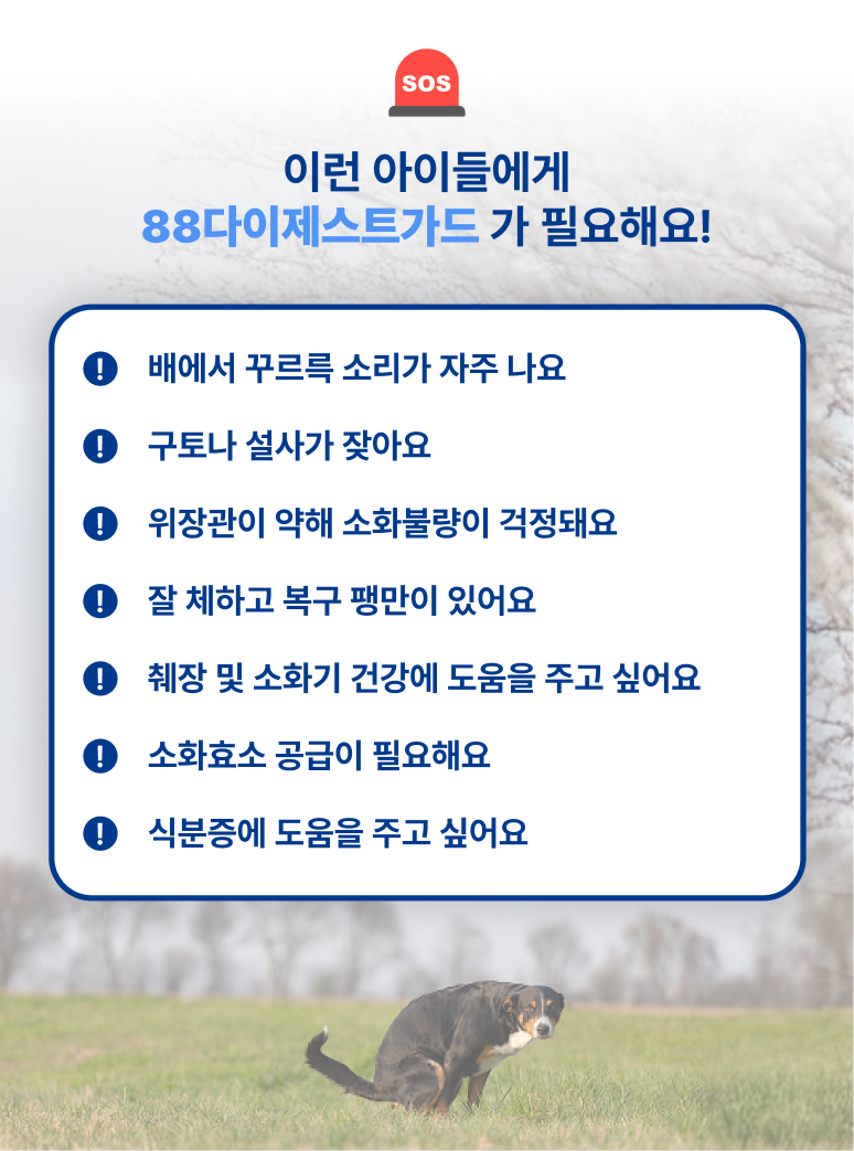 88펫 다이제스트가드 강아지 고양이 유산균 소화 효소제 변비 설사 구토 60g, 1개 이미지 7