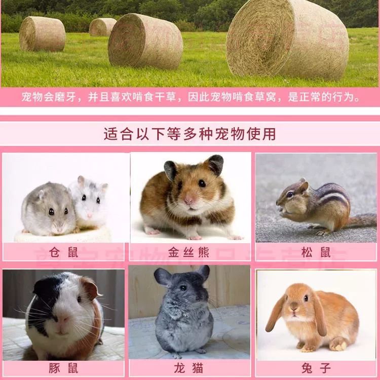 애완동물용 지푸라기 새둥지 케이지 앵무새둥지 럭셔리소형성곽밀짚하우스 - 상세 이미지 5