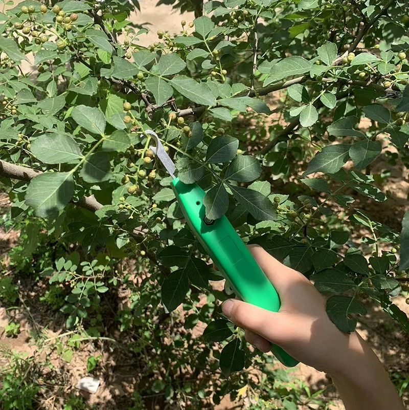 고추따는기계 소형 커터기 절단기 가위 휴대용 레드 그린 랜덤 발송 1+1 - 상세 이미지 3