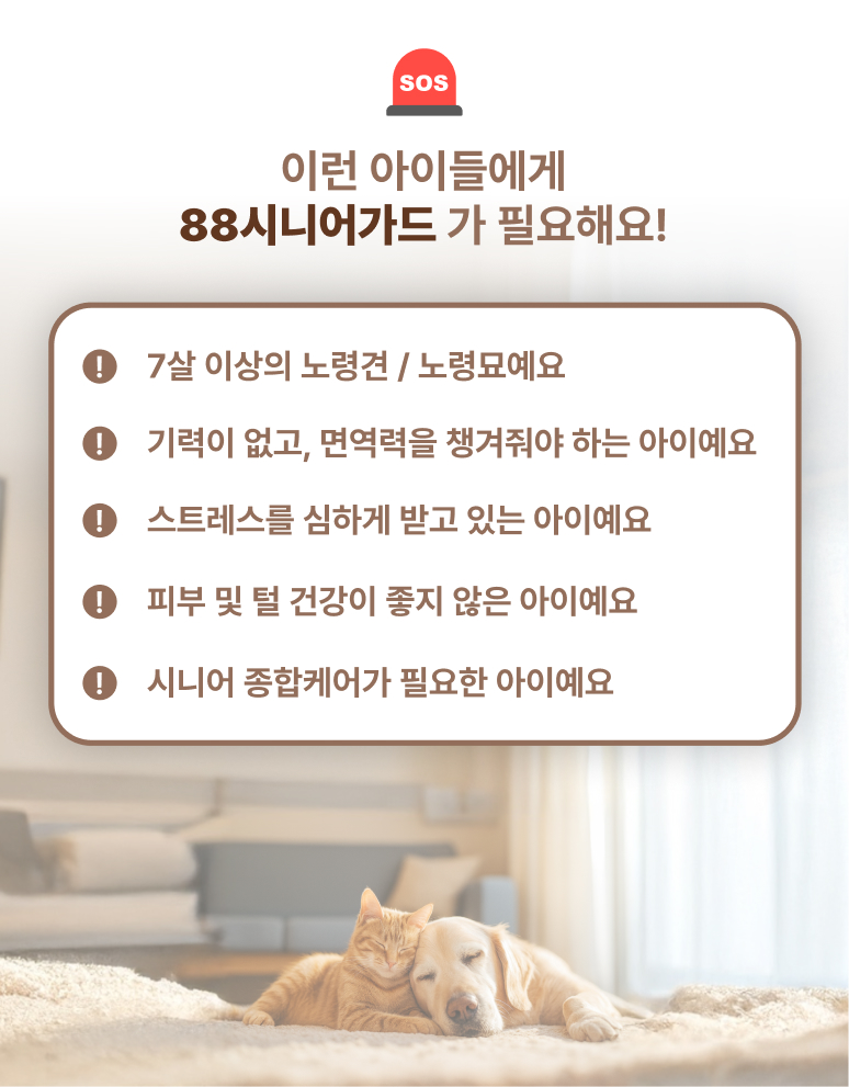 88펫 시니어가드 노령견 노령묘 전용 항산화제 종합영양제 코큐텐 60정, 1개 이미지 6
