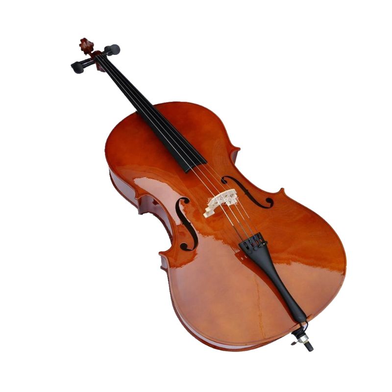 첼로악기 음악학원 레슨 교육 초보자 입문 연습용 화이트 4/4(155cm 이상) - 메인 이미지