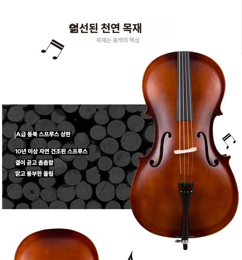 초보용 첼로악기 학교 학원 입문 레슨 교육용 연습용첼로 스탠다드 매트 4/4 - 상세 이미지 2