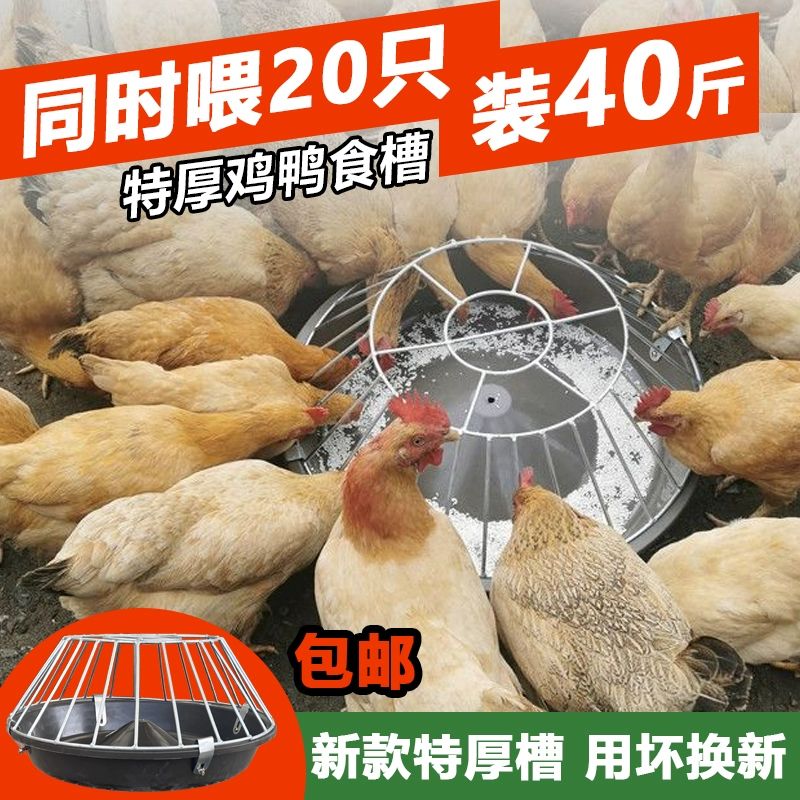 닭사료 자동급여기 농장 축사 오리 거위 모이 배급기 특대직경 50cm 오리 거위용 24개 - 상세 이미지 5