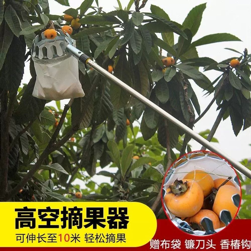 감따는 도구 장대 고지가위 감대 감따개 감손 고지 과일 - 상세 이미지 3