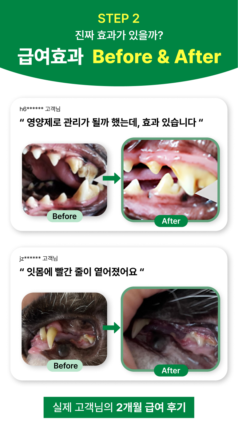88펫 덴탈가드 츄정 강아지 고양이 잇몸 구강 치석 입냄새 구내염 60정, 1개 이미지 6