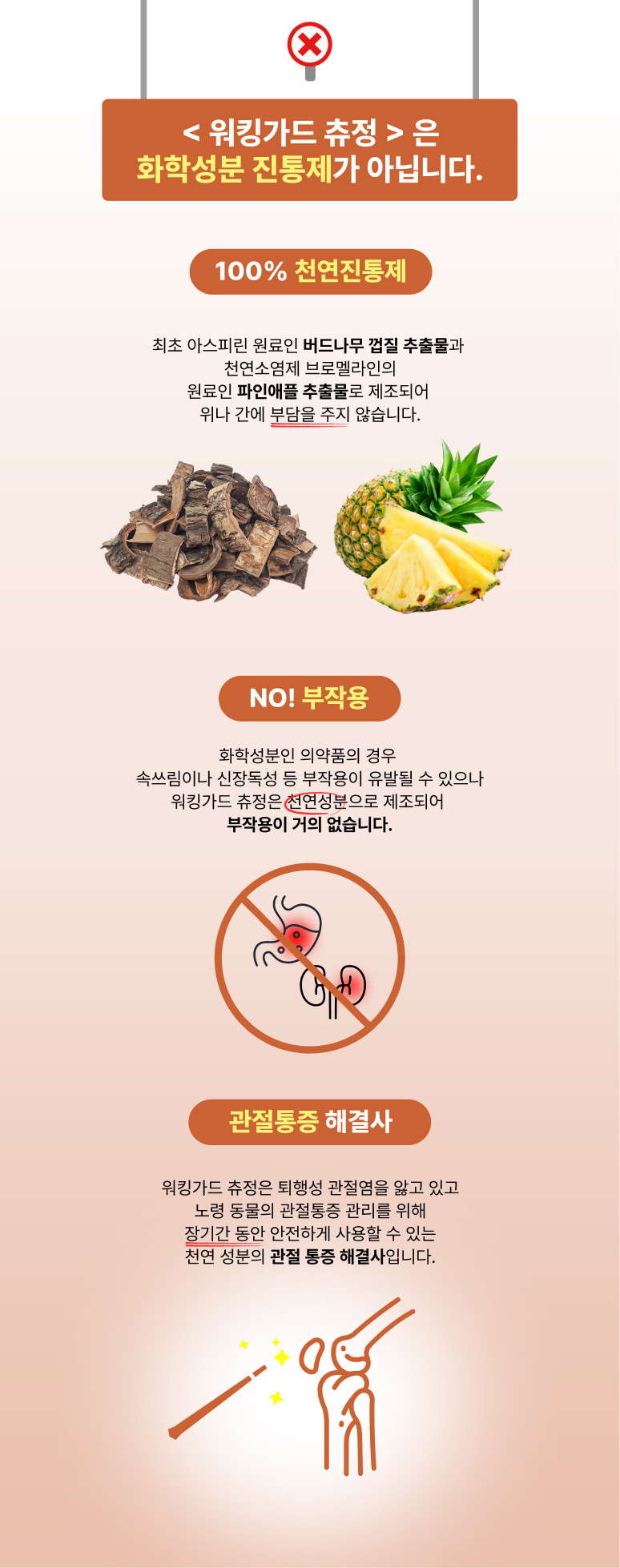 88펫 워킹가드 츄정 강아지 고양이 고관절 슬개골 탈구 수술 진통 소염 60정, 1개 이미지 4