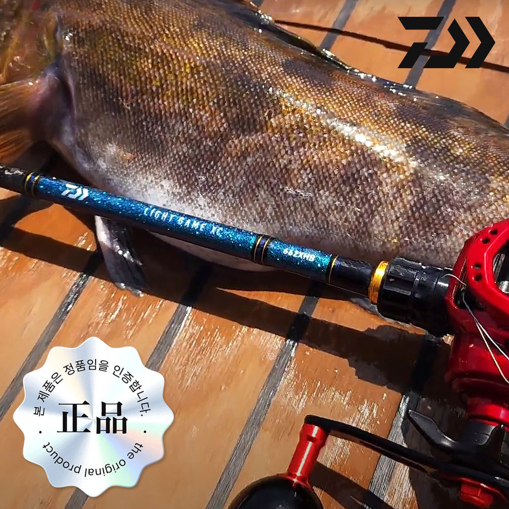 한국다이와 외수질로드 라이트게임 XC 662XHB 광어다운샷 농어 민어 외수질 낚시대