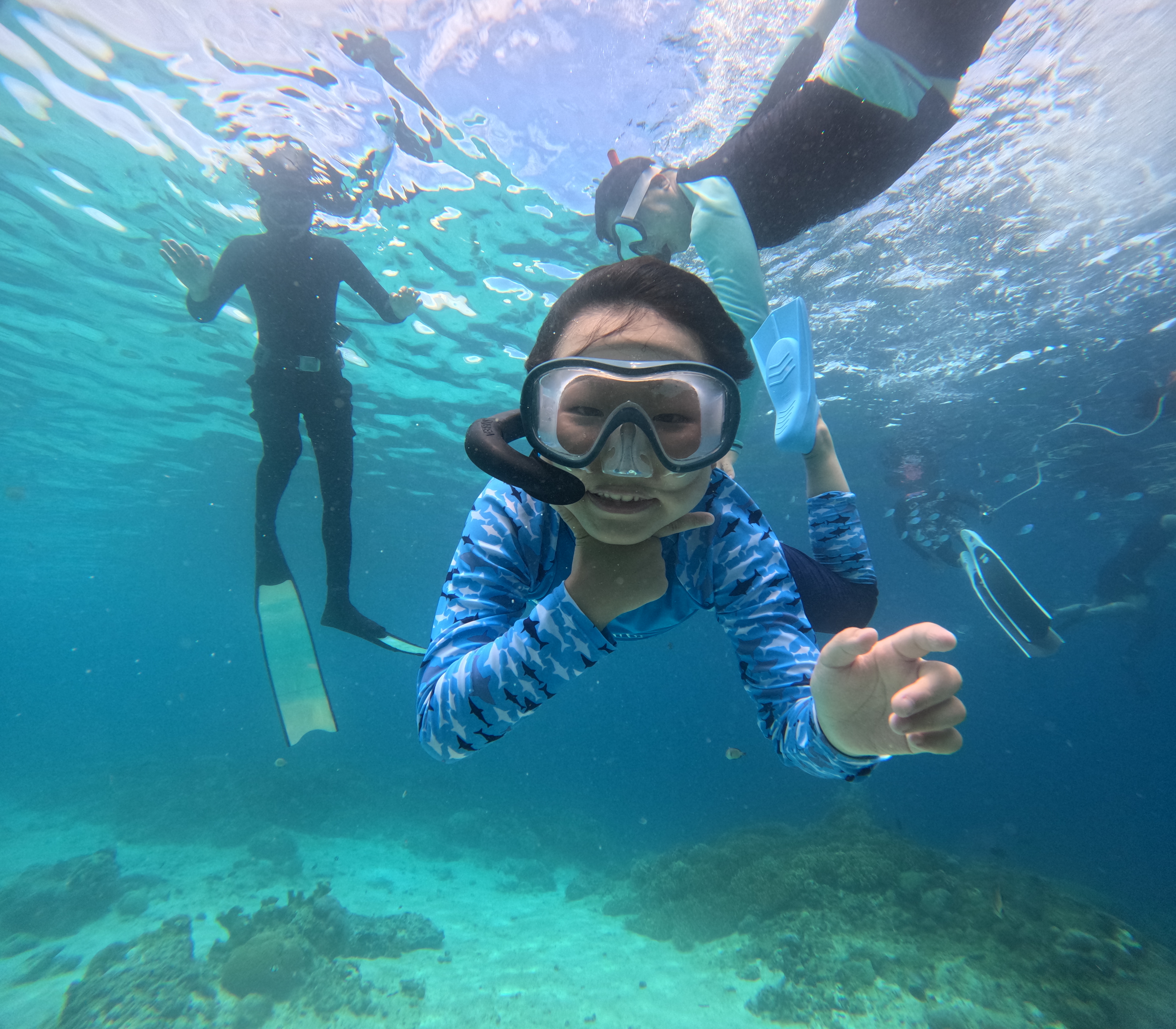 보홀 나팔링투어 스노클링 단독 액티비티 정어리떼 동남아 자유여행 럭키호핑 이미지 4