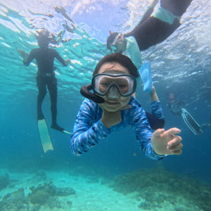 보홀 나팔링투어 스노클링 단독 액티비티 정어리떼 동남아 자유여행 럭키호핑 솔직 후기 | 실사용자 리뷰 분석 - 상품 이미지 4