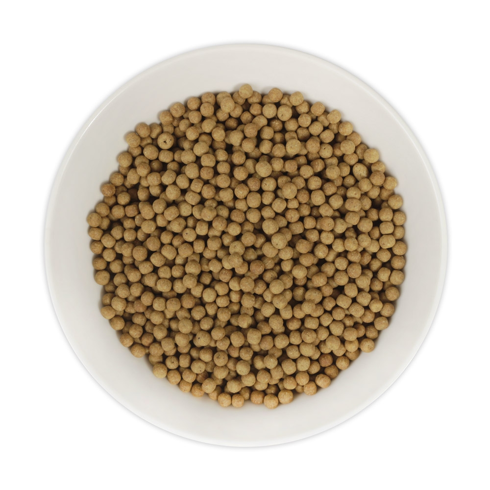 국산 청국장환 500g, 1개 - 상세 이미지 3
