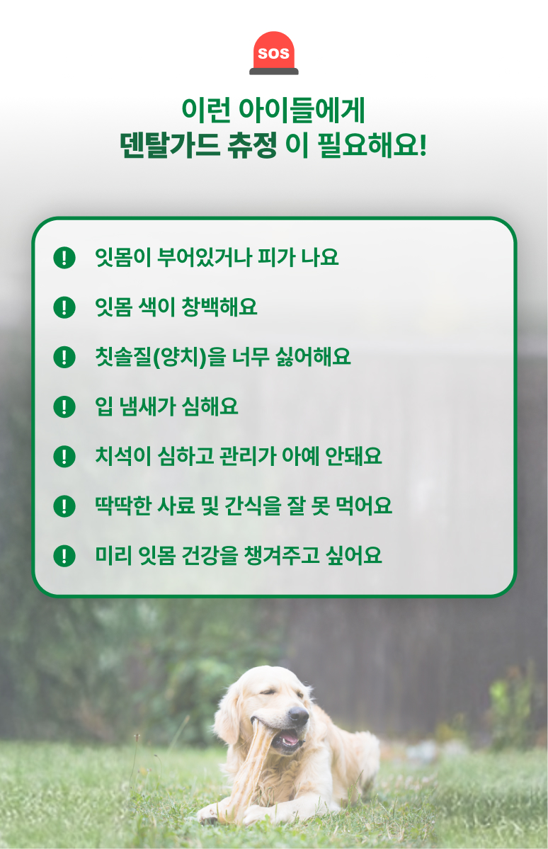 88펫 덴탈가드 츄정 강아지 고양이 잇몸 구강 치석 입냄새 구내염 60정, 1개 이미지 8