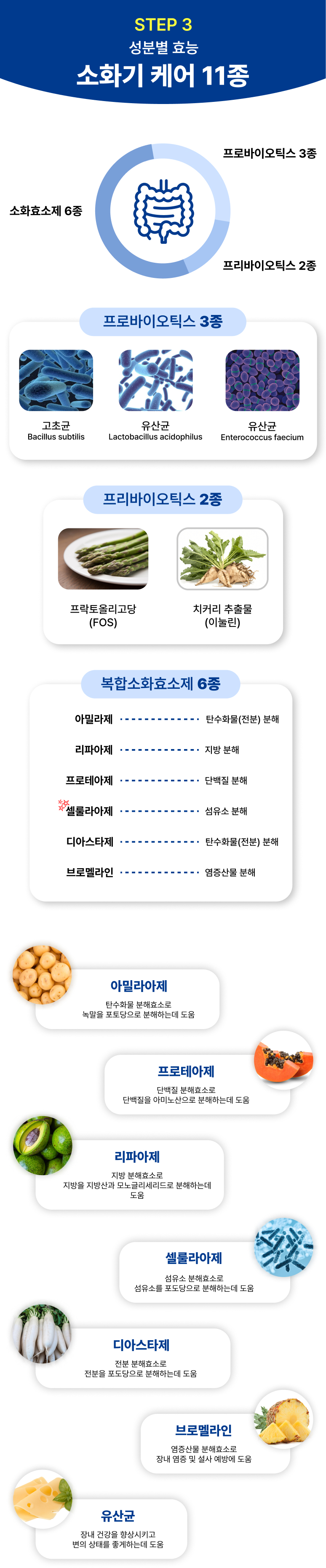 88펫 다이제스트가드 강아지 고양이 유산균 소화 효소제 변비 설사 구토 60g, 1개 이미지 6
