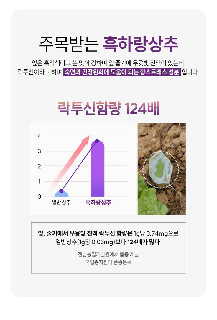 (이로운세상) 잠안올때 잠잘오는 숙면차 락투신 흑하랑 상추차 오늘밤 락투신골드 스틱액상