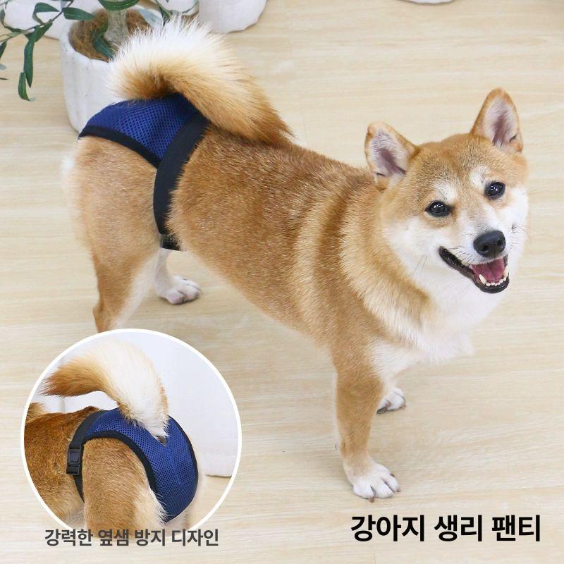 외출 산책 강아지 생리 팬티 기저귀 애견 강아지팬티 블루 생리팬티+블랙 생리팬티 두 개 L 12.0-16.0kg추천 - 상세 이미지 3