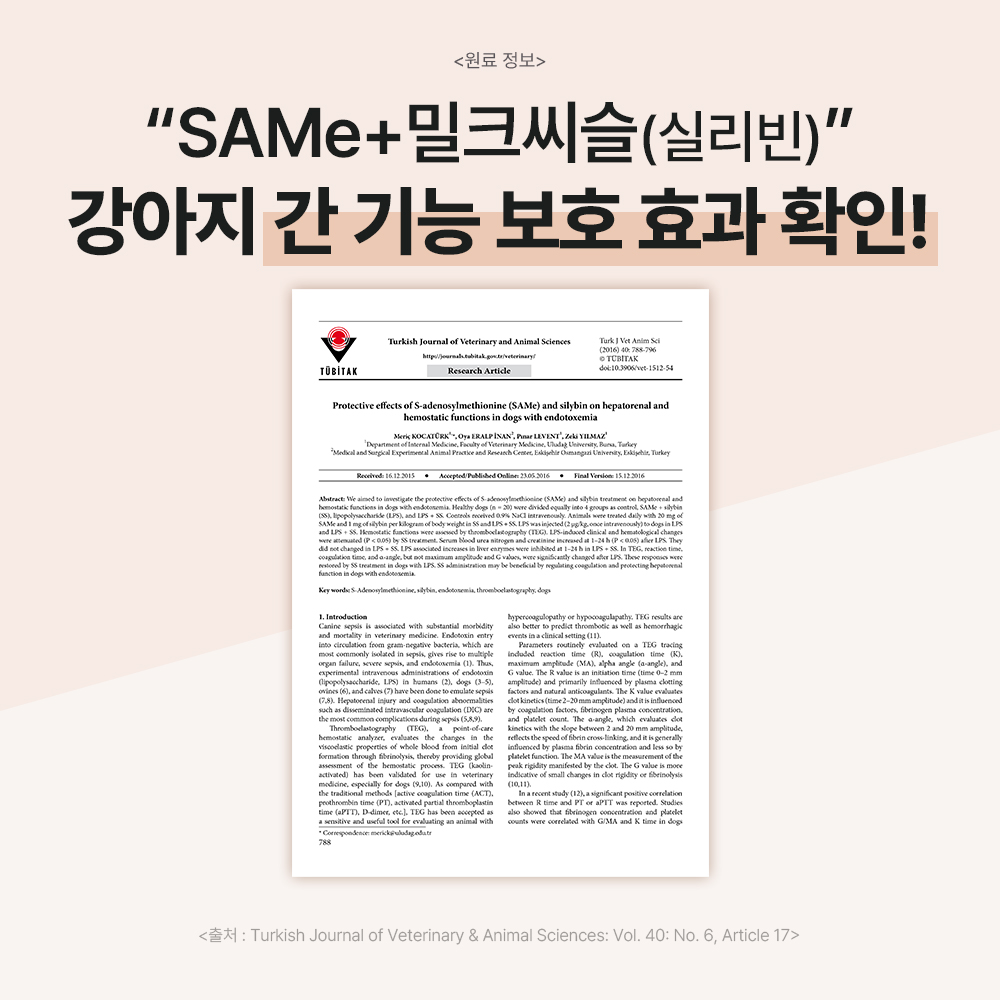 닥터바이 리버 강아지 간 영양제 식욕부진 밀크씨슬 70개입, 1개 이미지 4