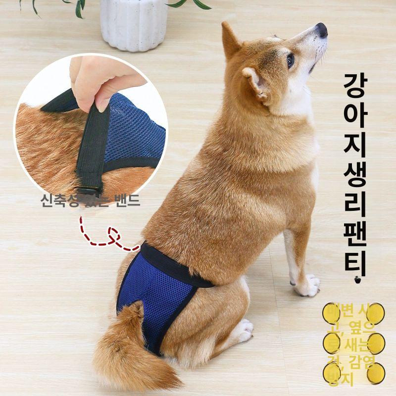 외출 산책 강아지 생리 팬티 기저귀 애견 강아지팬티 블루 생리팬티+블랙 생리팬티 두 개 L 12.0-16.0kg추천 - 상세 이미지 2