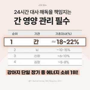 닥터바이 리버 강아지 간 영양제 식욕부진 밀크씨슬 70개입, 1개 솔직 후기 | 실제 사용자 리뷰 총정리 - 상품 이미지 2