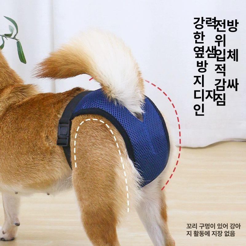 외출 산책 강아지 생리 팬티 기저귀 애견 강아지팬티 블루 생리팬티+블랙 생리팬티 두 개 L 12.0-16.0kg추천 - 상세 이미지 4