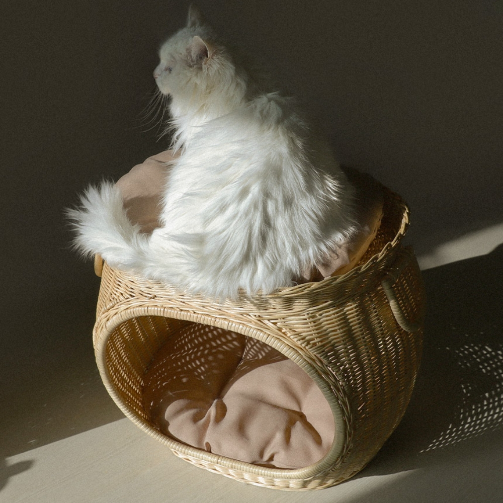 고양이 소쿠리 고양이 원형쿠션 강아지 방석 - 상세 이미지 4