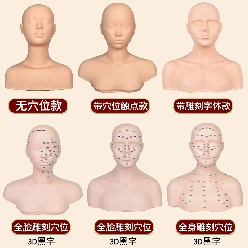데콜테 관리 머리 마사지 두피마사지 모델 모형 연습용 프로모션 어깨형 소프트 포인트없음 - 상세 이미지 5