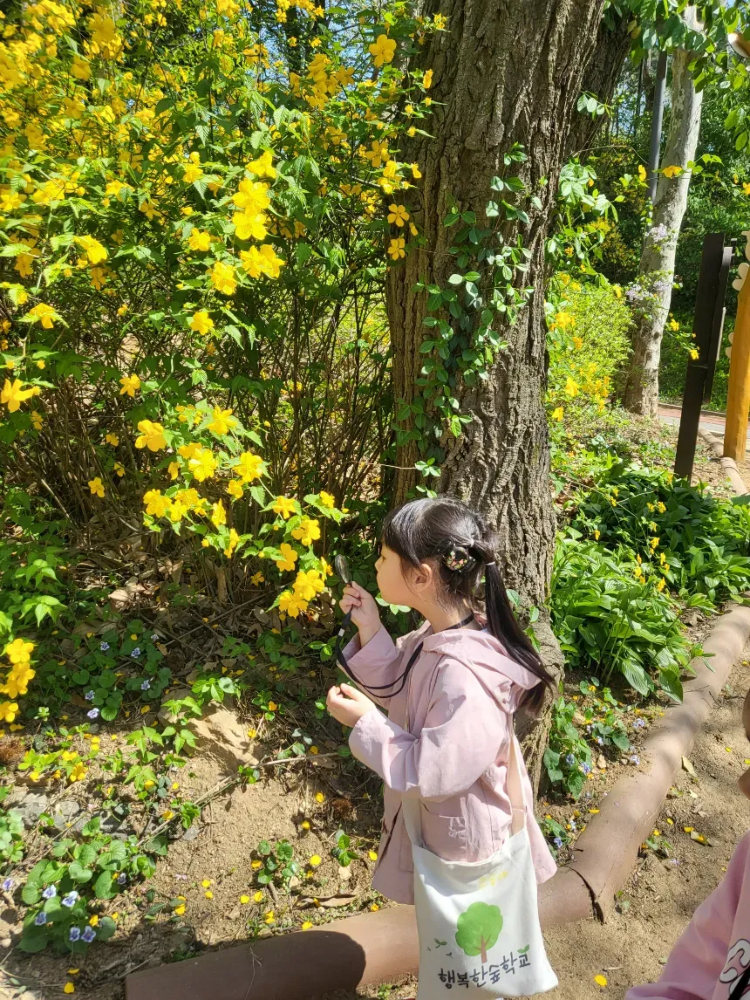 [오픈특가] 행복한숲학교 우장산 유아 숲체험 | 5~8세 by 행복숲 나리샘 - 상세 이미지 4