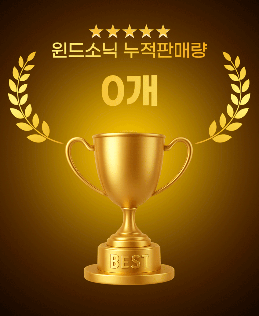 아이랩 윈드소닉 BLDC 헤어드라이어 음이온 드라이기 iLAB-WSN 판매처 상세 정보 이미지 2