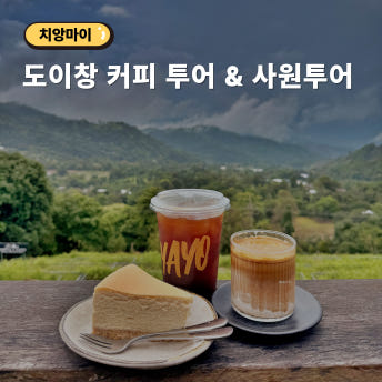 치앙라이 사원 카페투어 - 도이창 커피 백색사원 블루템플 - 상품 이미지