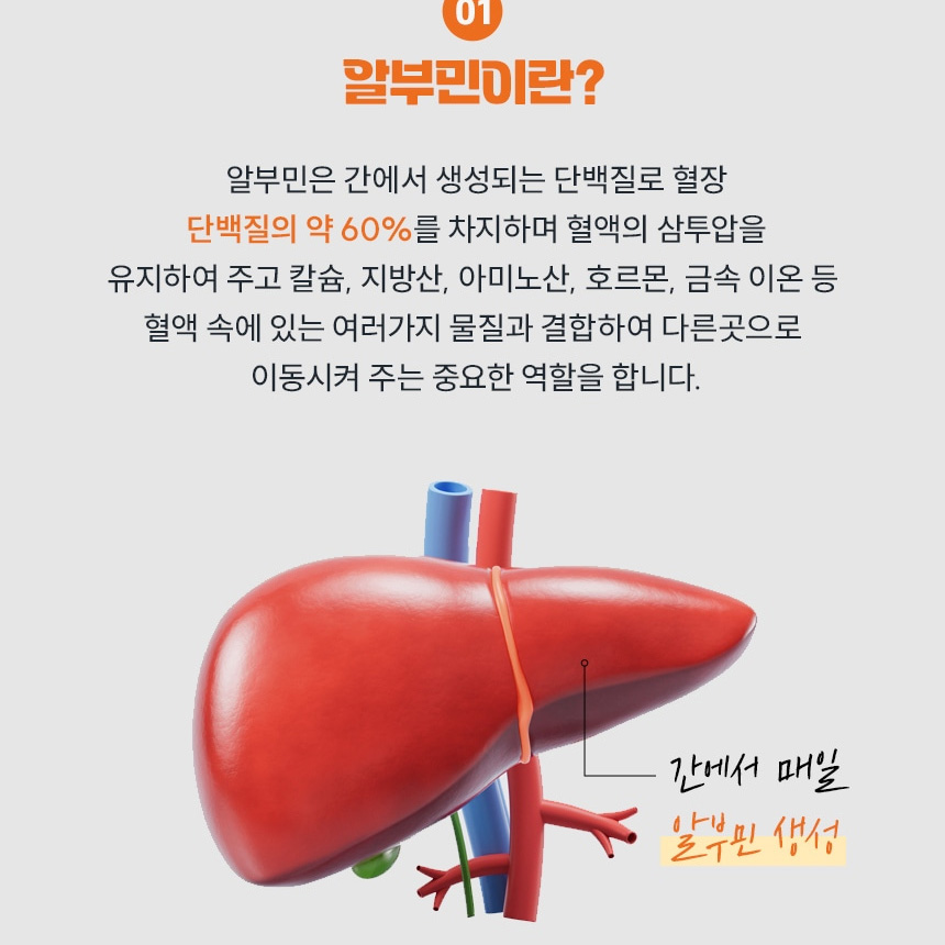 마시는 난백 알부민 진액 효능 60개 더로얄 이미지 7