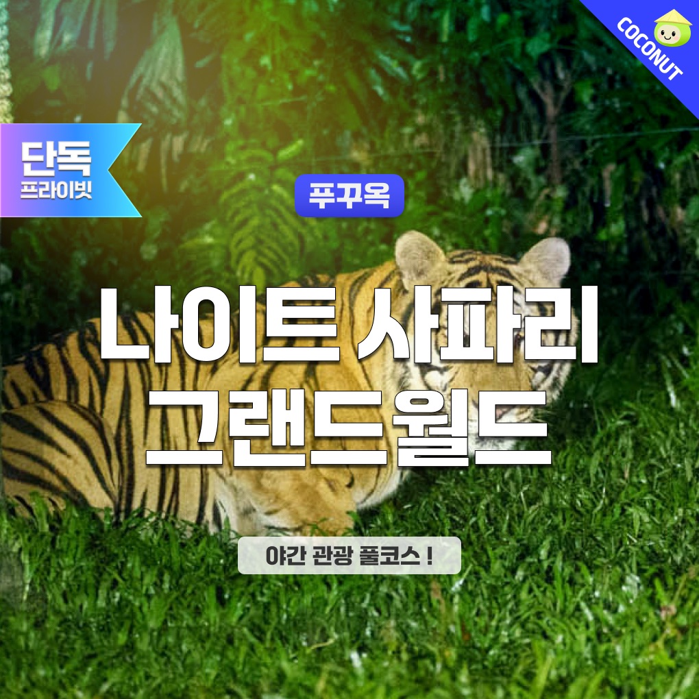 푸꾸옥 나이트사파리&그랜드월드 단독투어 야간 렌트카 딘화쇼 분수쇼